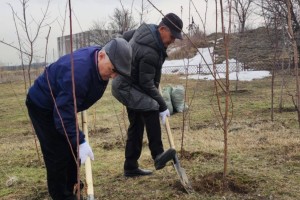 На территории Сакских курганов в Алматы прошел масштабный субботник