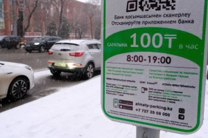 Оцифровка парковок: более 20 млрд тенге доходов выведено в экономику за год