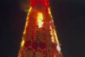 В Шымкенте спасатели МЧС потушили возгорание новогодней елки