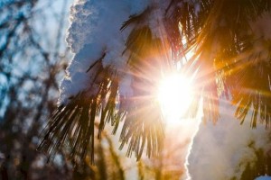 Тепло придет в Казахстан в выходные дни