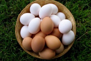 
                    Эксперты подсчитали потребляемое казахстанцами количество яиц
                