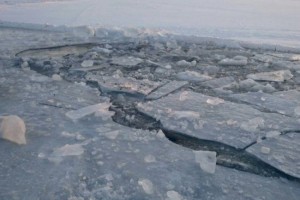 
                    Полицейский спас рыбаков с отколовшейся льдины на Капшагае
                