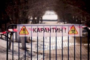 
                    Алматинская область находится в «желтой» зоне по коронавирусу
                