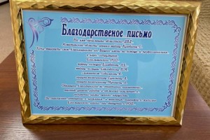 Главе полиции Алматинской области выразили благодарность за действия подчиненных