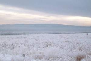 
                    Спасатели Алматинской области нашли заблудившегося пастуха
                