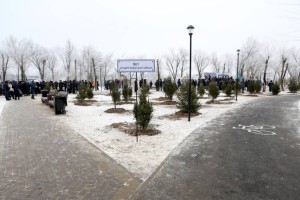 Новый парк «Желтоксан» в Алматы: на территории парка высажено 100 хвойных деревьев