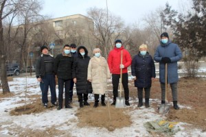 
                    В Алматы высадили пирамидальные тополя
                