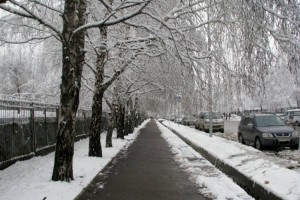 
                    В ближайшие дни алматинцев ждет погода без осадков
                