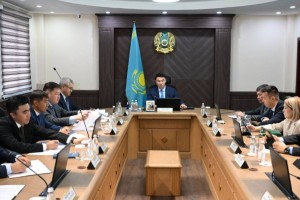Дархан Сатыбалды: Все, что делается за счет бюджета, должно быть качественным и под контролем