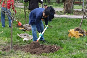 В Казахстане дан старт челленджу «Мой вклад в охрану окружающей среды»