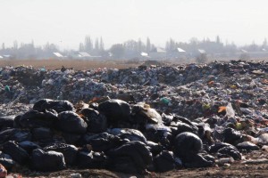 
                    В Караганде планируют построить мусоросжигательный завод
                