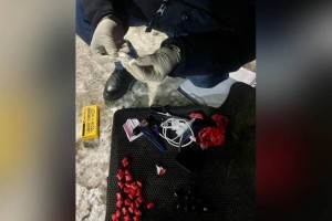
                    К 7 годам лишения свободы приговорили закладчика в Кокшетау
                