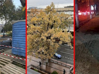 
                    Дежурный по городу. Спасите великана!
                