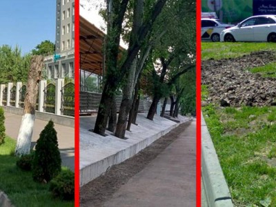 
                    Дежурный по городу. Что-то неладное в последнее время творится в мегаполисе с зелеными насаждениями
                