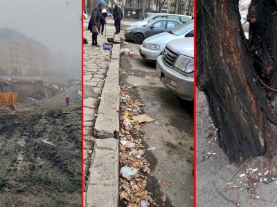 
                    Дежурный по городу. Сезонные явления
                