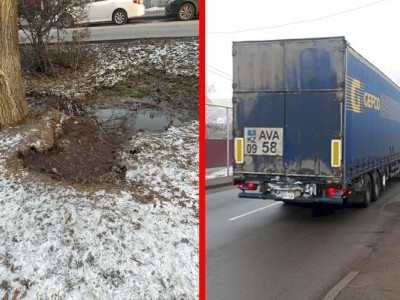 
                    Всё по порядку
                
