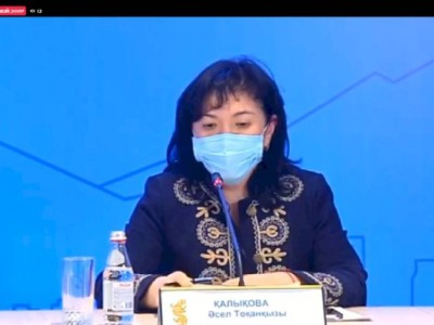 
                    Эксперты рассказали об эпидобстановке и темпах вакцинации против КВИ и гриппа в Алматы
                