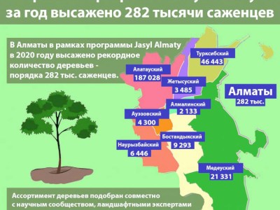
                    В рамках программы Jasyl Almaty за год высажено 282 тысячи саженцев
                
