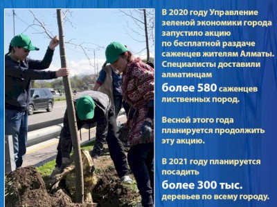 
                    Вернуть Алматы статус  города-сада
                