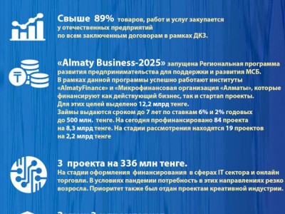 
                    Алматы-2020: основные показатели социально-экономического развития (Антикризисные меры по поддержке МСБ)
                