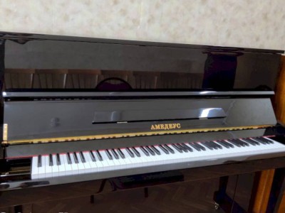 
                    Управление образования Алматы объявляет конкурс на назначение на вакантные должности первых руководителей детских музыкальных школ и домов школьников
                