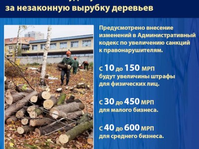 
                    На сколько увеличат штрафы за незаконную вырубку деревьев в Казахстане?
                