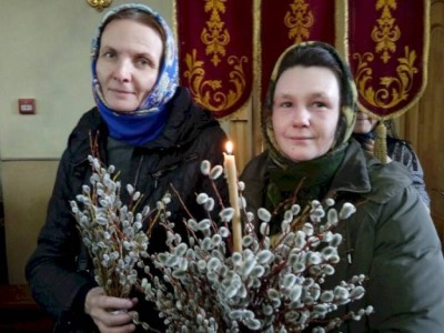 
                    В СКО разрешили сбор вербы к православному празднику
                