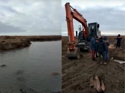 
                    В Атырауской области в каналы запустили воду для скота
                