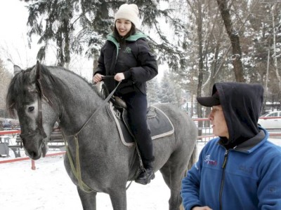 
                    Цезарь, Чёткий, Идальго и другие: корреспондент «Вечёрки» побывал на первом уроке верховой езды
                