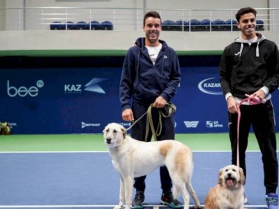 
                    Перед стартом Astana Open звезды тенниса поучаствовали в акции помощи бездомным животным
                
