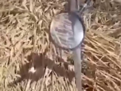 
                    Рассылка о диверсиях с поджогом полей при помощи лупы оказалась фейком
                