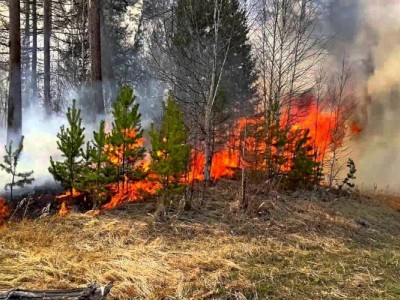 
                    ДЧС обратился к алматинцам с предупреждением
                