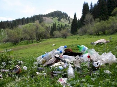 
                    В Нацпарке «Иле-Алатау» открылась необычная выставка из мусора
                