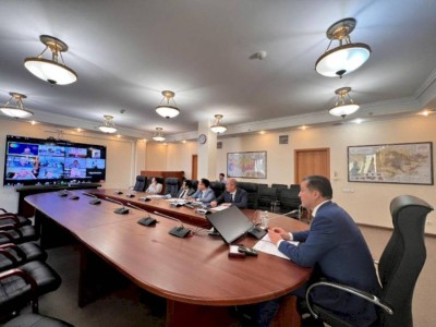 
                    После выговора Президента в Минэкологии начали думать, как решить проблему с сайгаками
                