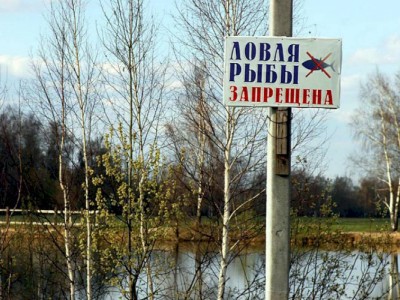 
                    В водоемах Алматинской области запретили  ловить рыбу
                