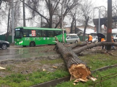 
                    Как в Алматы ликвидируют последствия непогоды
                