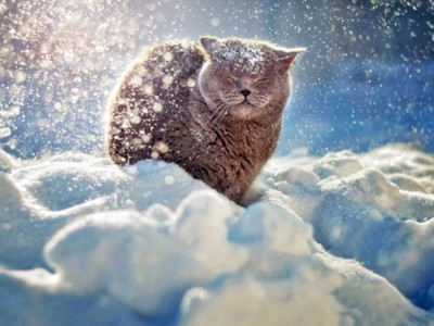 
                    Какая погода ждет в январе казахстанцев
                