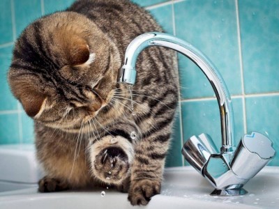 
                    Два района Алматы останутся без холодной воды
                