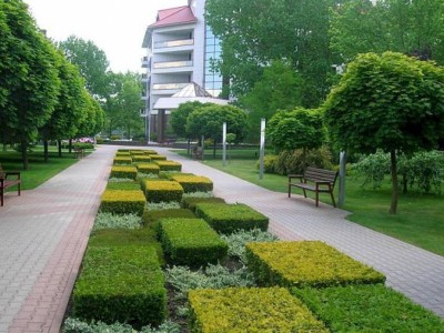 
                    В Алматы создается Садовый кластер
                