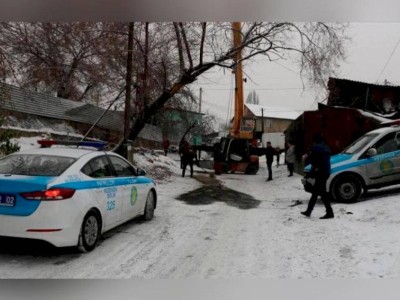 
                    Перевернувшийся мини-погрузчик насмерть придавил водителя в Алматы
                