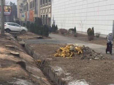 
                    Более десятка деревьев вырубили в центре Алматы: власти ведут расследование
                