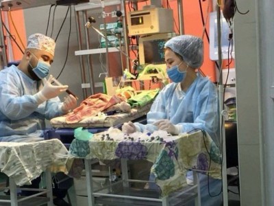
                    Желтуха у новорожденного: о причинах и последствиях рассказал алматинский неонатолог
                