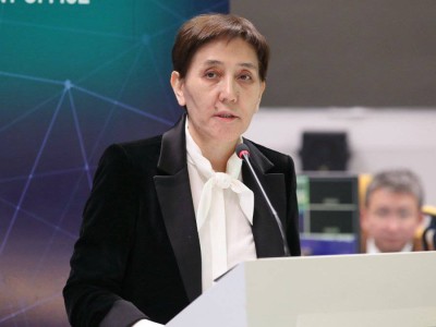 
                    Дуйсенова о здравоохранении: По основным видам заболеваний существенных продвижений нет
                