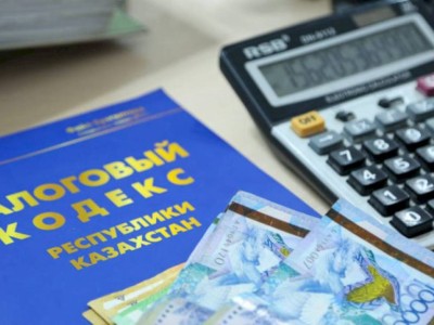 
                    Налоговая система РК должна заработать в полном объеме – Айжан Жаткамбаева
                