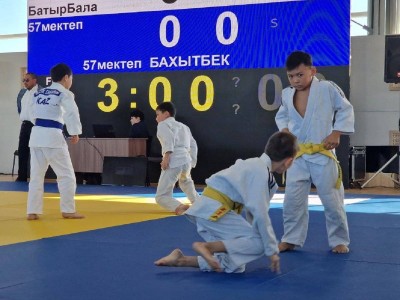 
                    В Астане открылся новый центр дзюдо
                