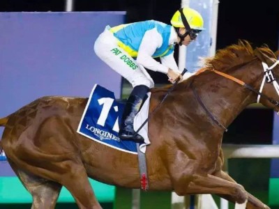 
                    Стали известны имена соперников казахстанского жеребца Кабирхан на Dubai World Cup 2024
                