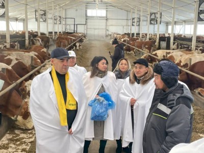 
                    Представители партии «Ауыл» встретились с сотрудниками предприятия «Қызылжар сүт»
                