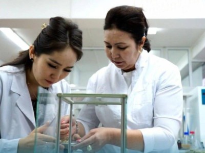 
                    Казахстанский ученый выводит на рынок многолетнюю пшеницу
                