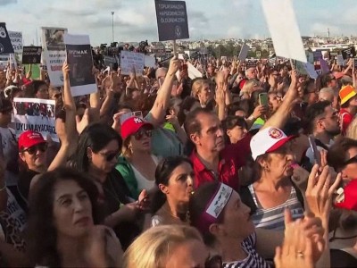 
                    Тысячи протестующих выступают против отлова бродячих собак в Стамбуле
                