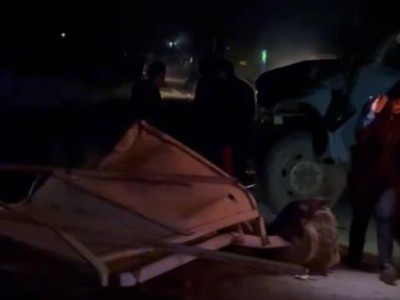 
                    Грузовик въехал в остановку и сбил насмерть двоих людей в Алматинской области 
                